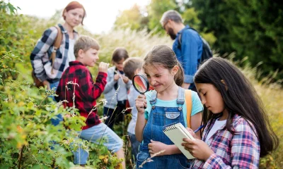 Czego różnorodność w przyrodzie uczy nas o różnorodności w klasie – i odwrotnie